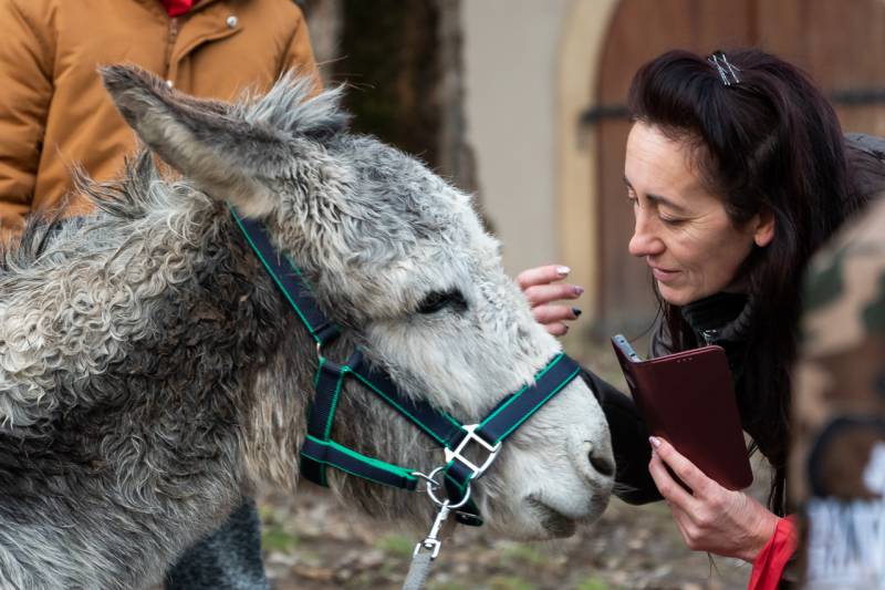 2023_12_23_szallast keres.jpg